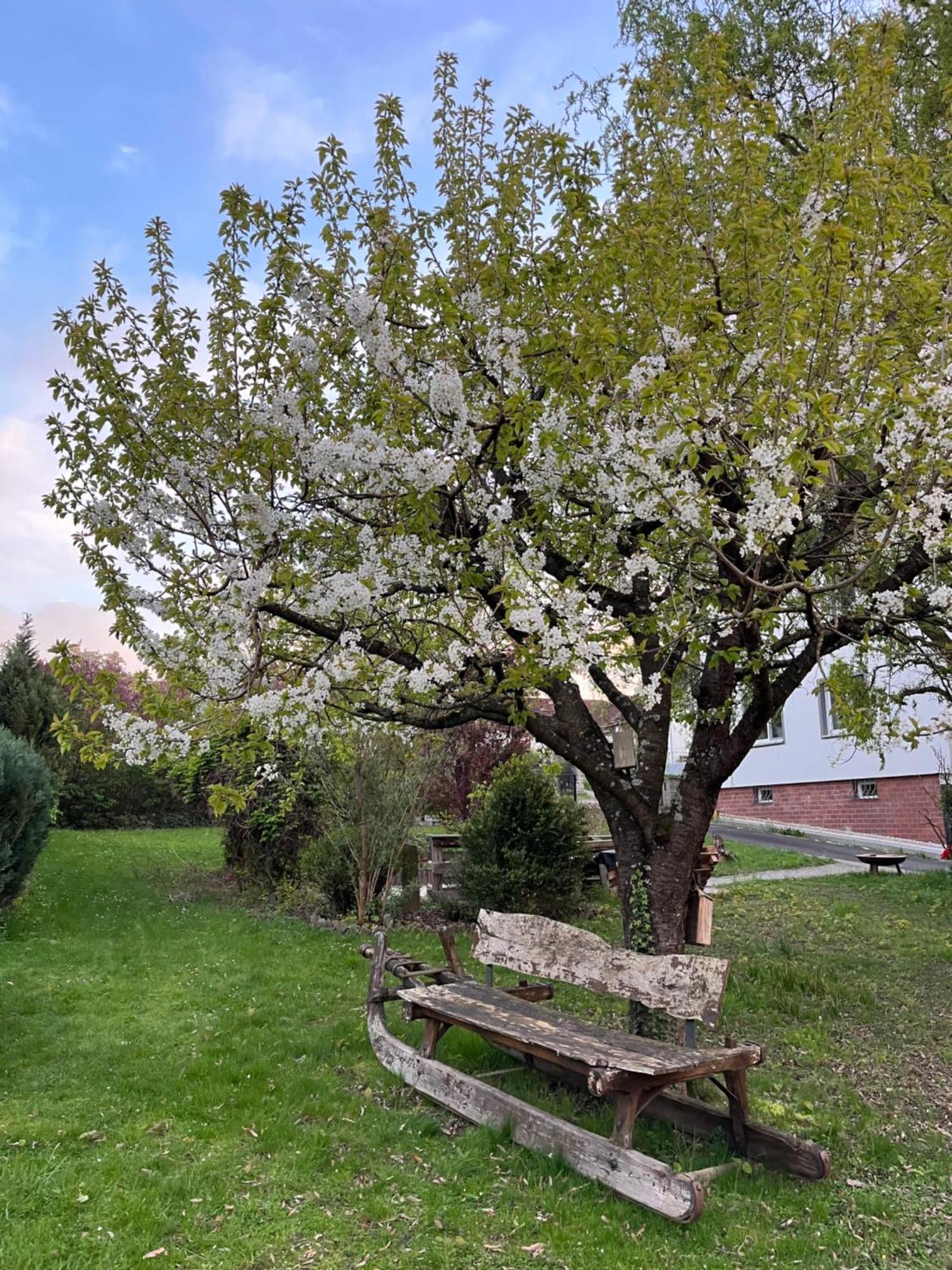Apartment Ida Viereth-Trunstadt Dış mekan fotoğraf